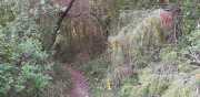 CLARET_LAURET-120