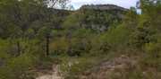 CLARET_LAURET-122