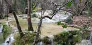 CLARET_LAURET-124