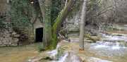 CLARET_LAURET-129
