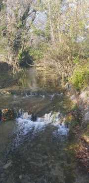 CLARET_LAURET-3