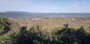 CLARET_LAURET-54