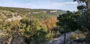 CLARET_LAURET-65