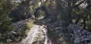 CLARET_LAURET-72