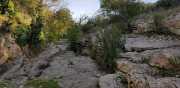 CLARET_LAURET-9