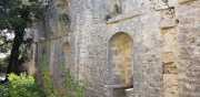 HORTUS_2-16