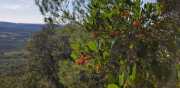 HORTUS_2-2
