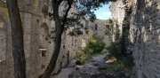 HORTUS_2-21