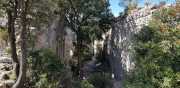 HORTUS_2-23