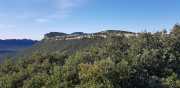 HORTUS_2-5