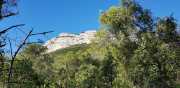 HORTUS_2-7