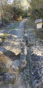 JUNAS_20_12-111