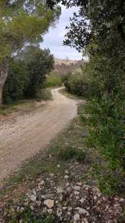 MEJEAN-24