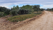Montpezat_24_01-10