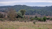 Montpezat_24_01-103