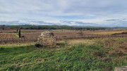 Montpezat_24_01-110