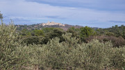 Montpezat_24_01-114
