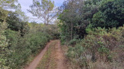 Montpezat_24_01-116