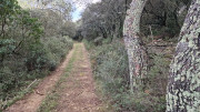 Montpezat_24_01-117