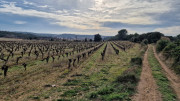 Montpezat_24_01-118