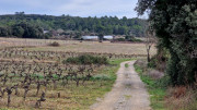 Montpezat_24_01-119