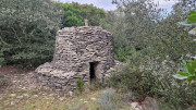 Montpezat_24_01-12