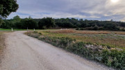 Montpezat_24_01-121