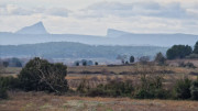 Montpezat_24_01-123