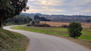 Montpezat_24_01-124