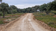 Montpezat_24_01-13