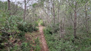 Montpezat_24_01-16