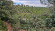 Montpezat_24_01-17