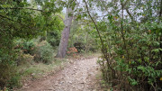 Montpezat_24_01-19