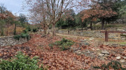 Montpezat_24_01-20