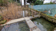 Montpezat_24_01-21