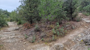 Montpezat_24_01-28