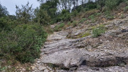 Montpezat_24_01-29
