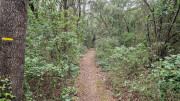 Montpezat_24_01-32
