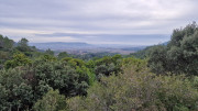 Montpezat_24_01-33