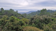 Montpezat_24_01-35