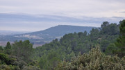 Montpezat_24_01-36