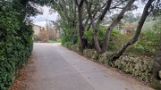 Montpezat_24_01-4