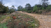 Montpezat_24_01-5