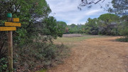 Montpezat_24_01-52