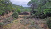 Montpezat_24_01-53