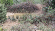 Montpezat_24_01-54