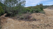 Montpezat_24_01-55