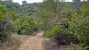 Montpezat_24_01-56
