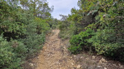 Montpezat_24_01-57