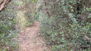 Montpezat_24_01-58